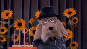 Just Shoot Me – Redaktion durchgeknipst: 3×7