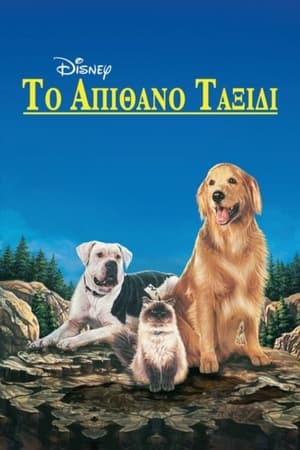 Poster Το Απίθανο Ταξίδι 1993