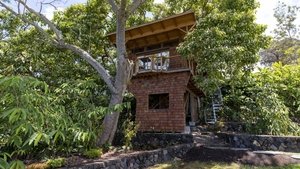 Beach Cottage Chronicles Kona Treehouse