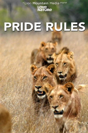 Image Pride Rules