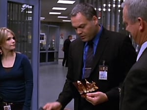 Criminal Intent – Verbrechen im Visier: 5×15