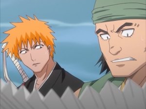 Bleach: 1×25