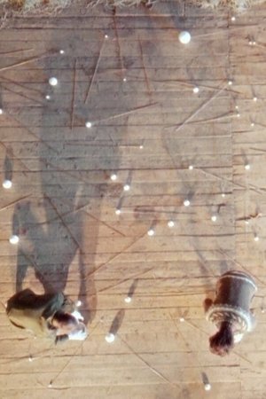 À force d’usure — instrumentarium altéré