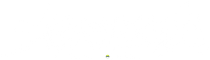 大侠请上功 — Logos 1