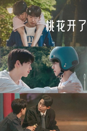 Image 桃花开好了