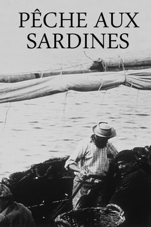 Pêche aux sardines poster