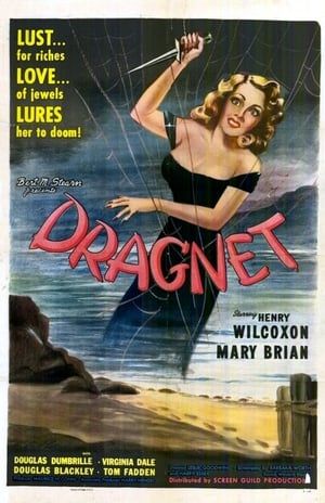 Dragnet poster