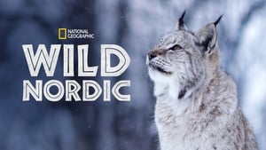 poster Wild Nordic