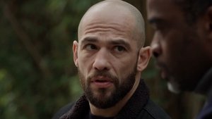 saison 5 épisode 104