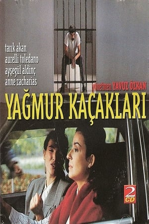 Yağmur Kaçakları