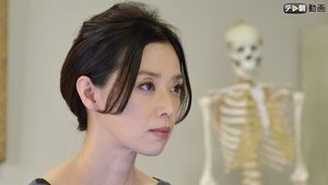 人類学者・岬久美子の殺人鑑定6