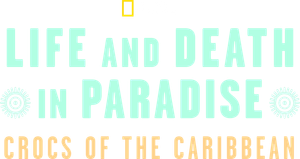 Crocodilos do Caribe — Logos 5