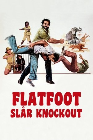 Flatfoot slår knockout