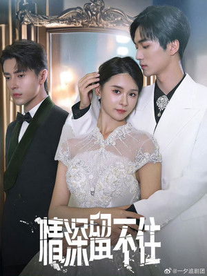 情深留不住 - Season 1