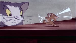 Tom & Jerry: 1×1