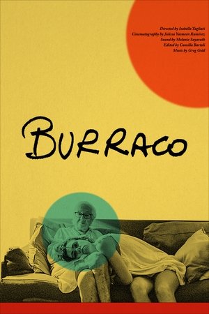 Poster Burraco ()