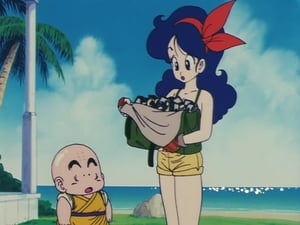 Dragon Ball Season 1 Episode 15