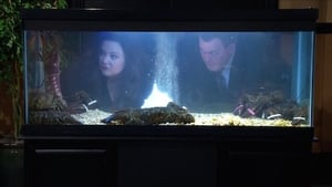 Mike & Molly: 5×21