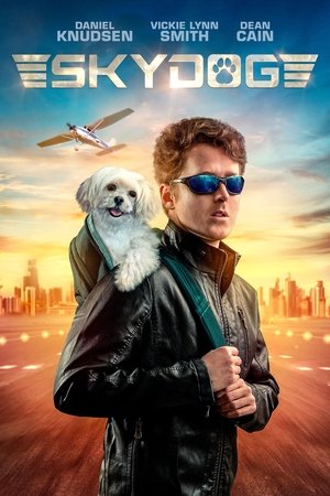 Poster Skydog (2020)