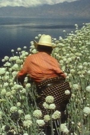 Cakchiquel Maya of San Antonio Palopó (1987)