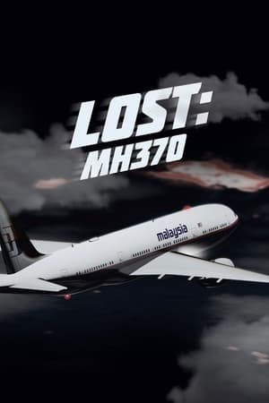 Image Lost: MH 370