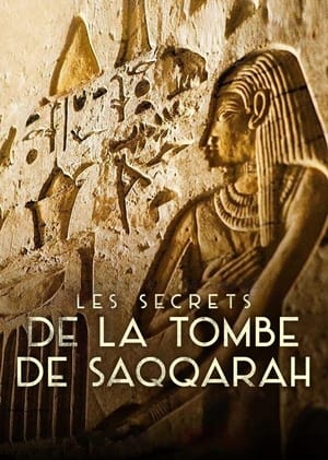 Poster Les Secrets de la tombe de Saqqarah 2020