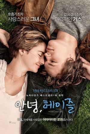 Poster 안녕, 헤이즐 2014