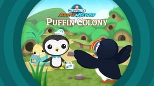 Octonauts: Above & Beyond The Octonauts and the Puffin Colony
