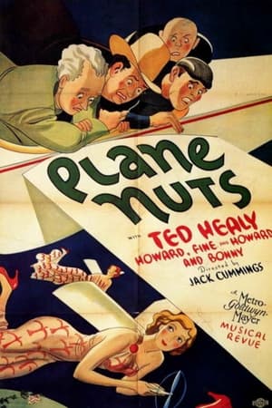 Poster Plane Nuts 1933