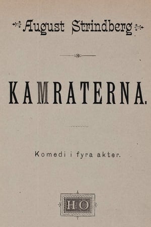 Poster Kameraden 1919