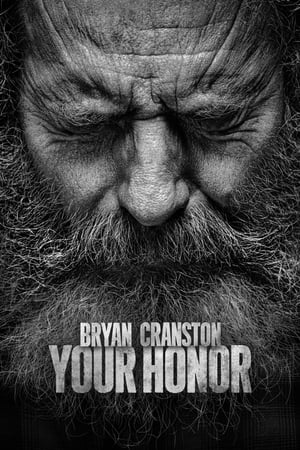 Your Honor: Staffel 2