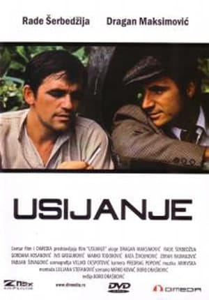 Poster Usijanje 1979