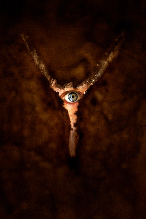 poster Return to Silent Hill