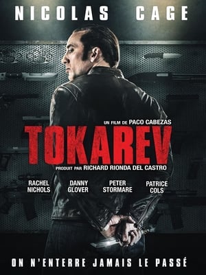 Poster Tokarev 2014