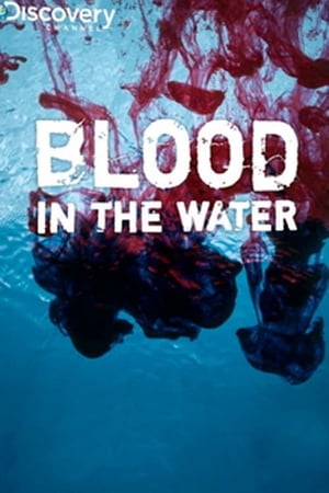 Poster di Blood in the Water