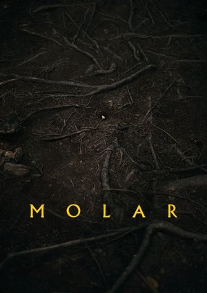 Poster Molar ()