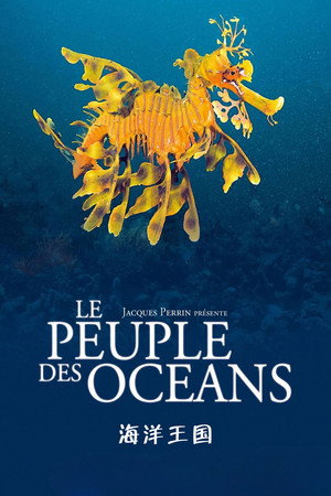 海洋王国 海报