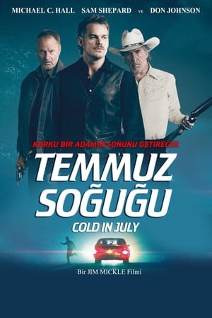 Poster Temmuz Soğuğu 2014