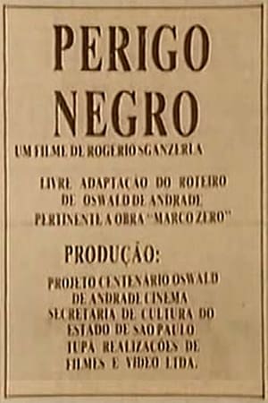 Perigo Negro poster