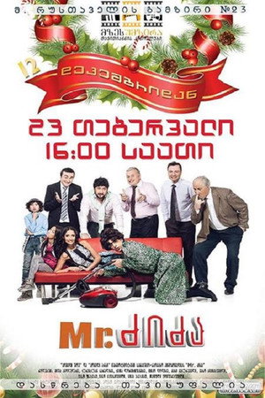 Mr. Nanny 5