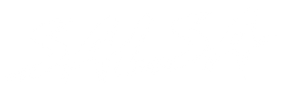 Summer Teeth — Logos 2