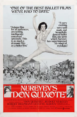 Poster Don Quixote 1973