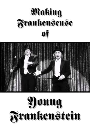 Poster Making Frankensense of Young Frankenstein (1996)