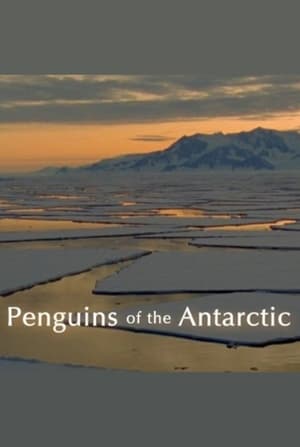 Poster Penguins of the Antarctic (2006)