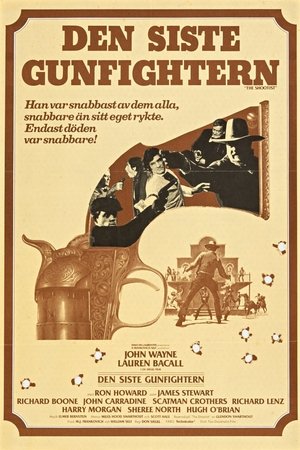 Image Den siste gunfightern