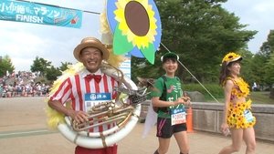 Journeys in Japan: 12×21