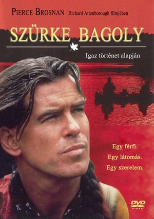 Szürke bagoly 1999