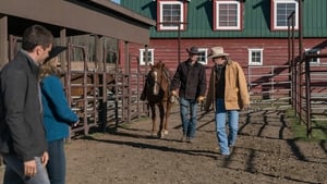 Heartland – Paradies für Pferde: 9×14