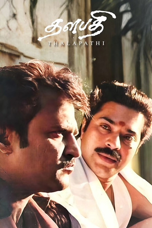 Thalapathi 26