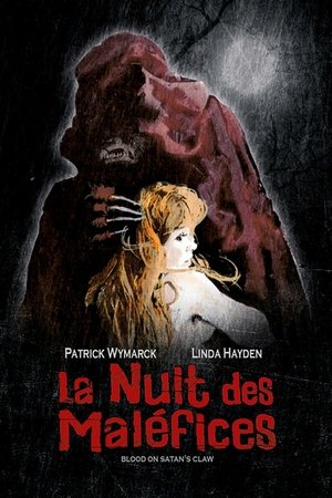 Image La Nuit des maléfices